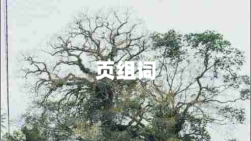 頁組詞