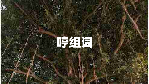 哼組詞