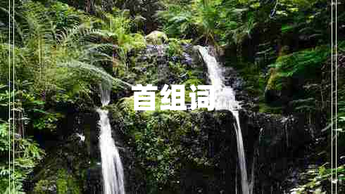 首組詞
