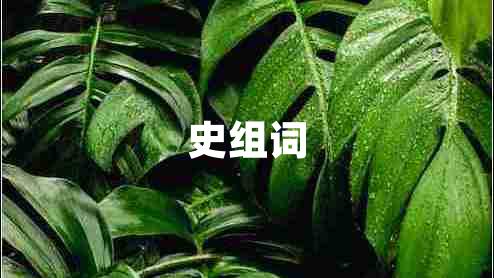 史組詞