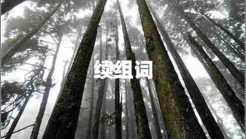 續(xù)組詞