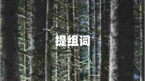 提組詞