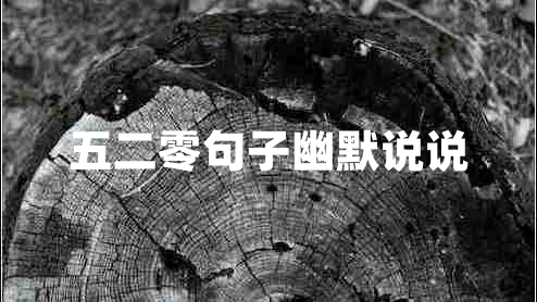 五二零句子幽默說說
