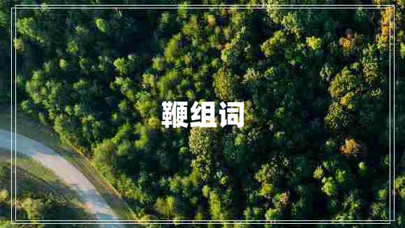 鞭組詞