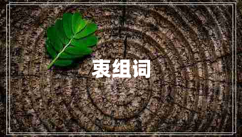 衷組詞