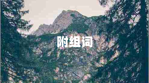 附組詞