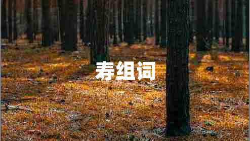 壽組詞