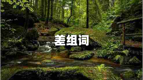 差組詞