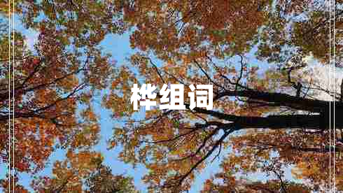 樺組詞
