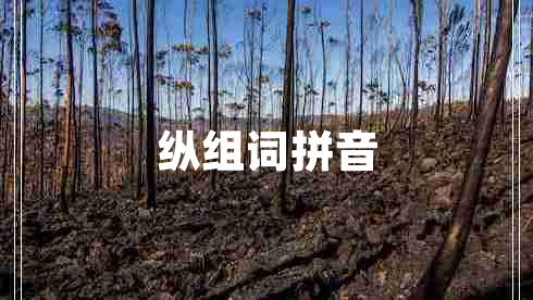 縱組詞拼音