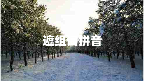 遮組詞拼音
