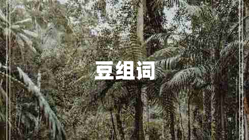 豆組詞
