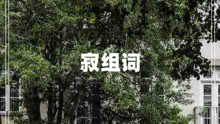 寂組詞