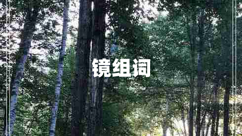 鏡組詞