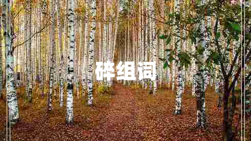 碎組詞