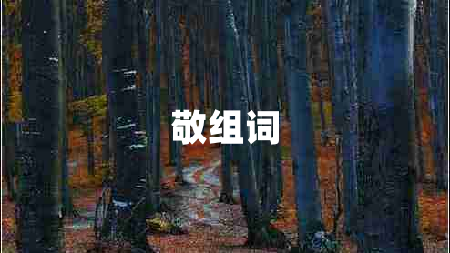 敬組詞
