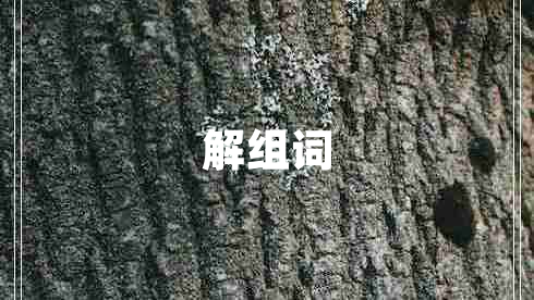 解組詞