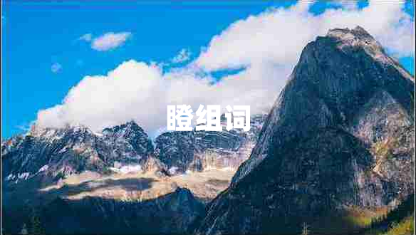 瞪組詞