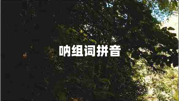 吶組詞拼音
