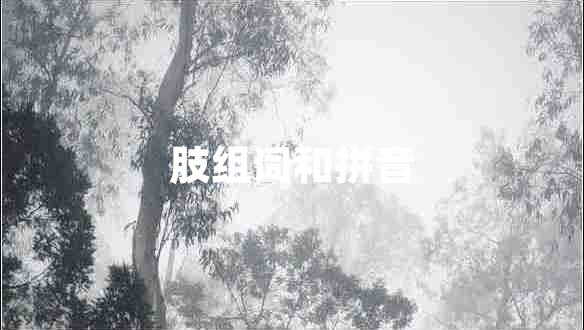 肢組詞和拼音
