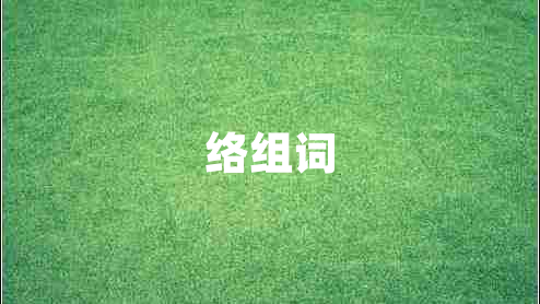 絡(luò)組詞