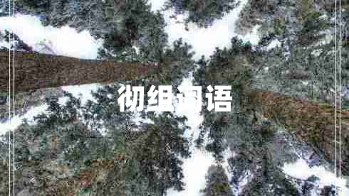 徹組詞語(yǔ)