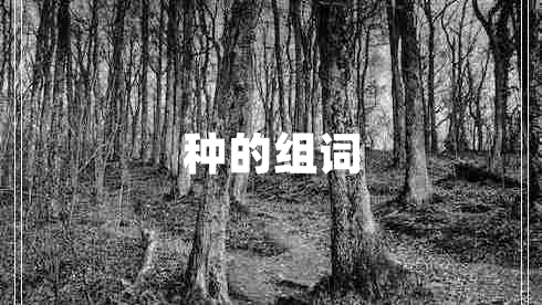 種的組詞