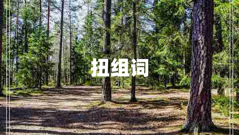 扭組詞
