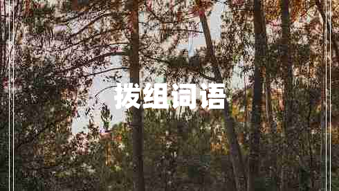 撥組詞語(yǔ)