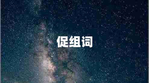 促組詞