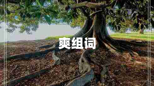 爽組詞