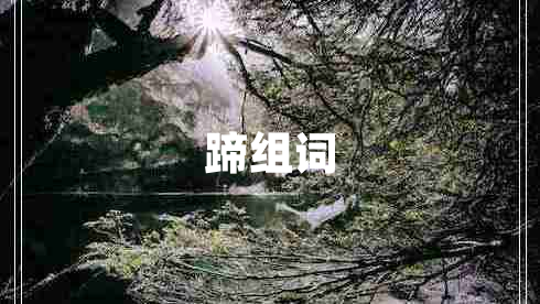 蹄組詞