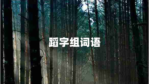蹈字組詞語
