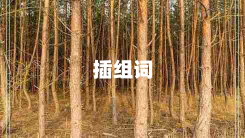 插組詞