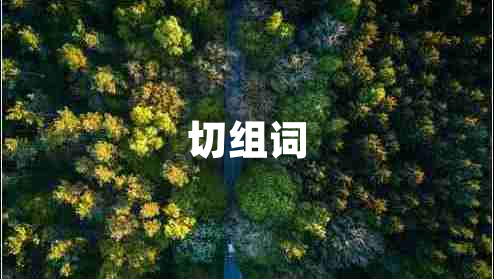 切組詞