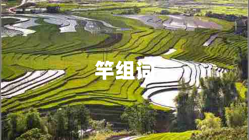 竿組詞