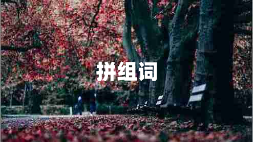 拼組詞