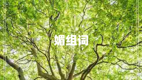 媚組詞
