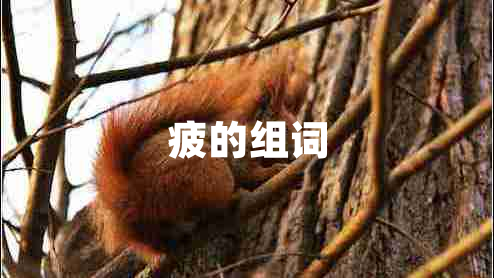 疲的組詞