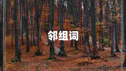 鄰組詞