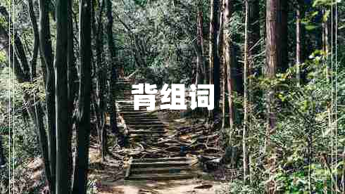 背組詞