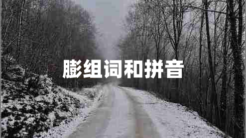膨組詞和拼音