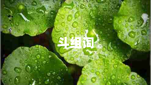 斗組詞