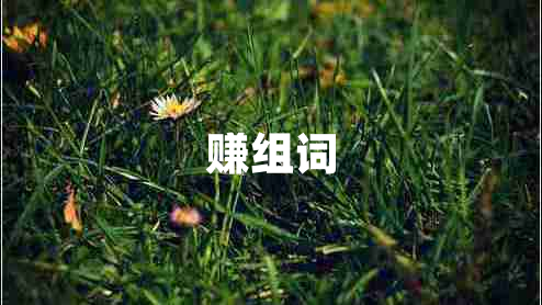 賺組詞