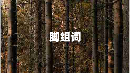 腳組詞