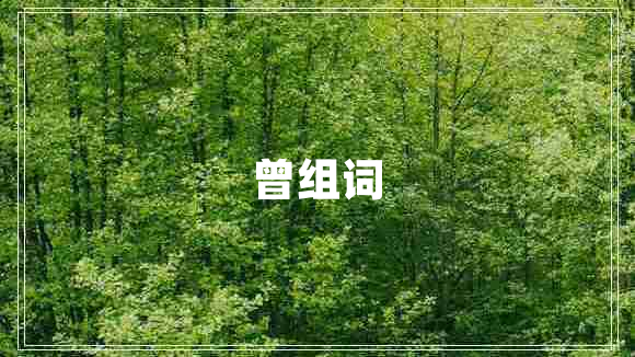 曾組詞