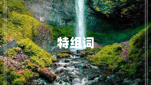 特組詞