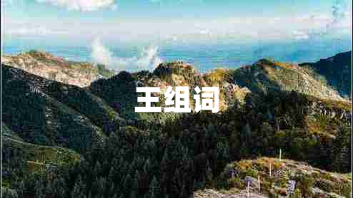王組詞