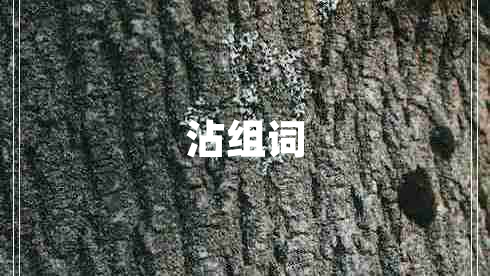 沾組詞