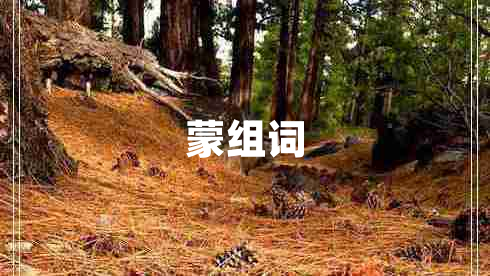 蒙組詞